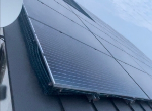 LINE_ALBUM_岸野様　ハト_231211_10